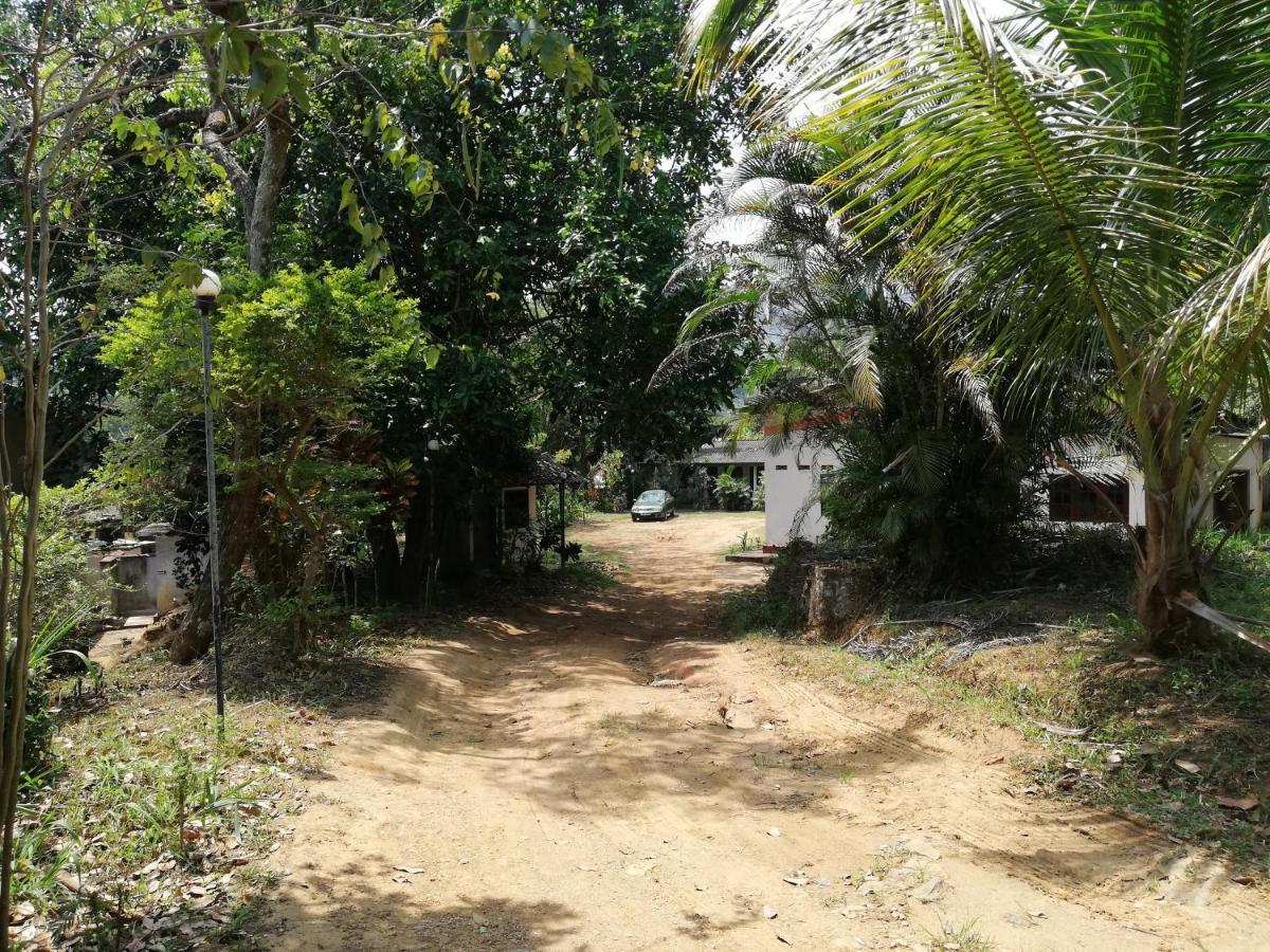 Leaf Guest House Gampola Exterior foto